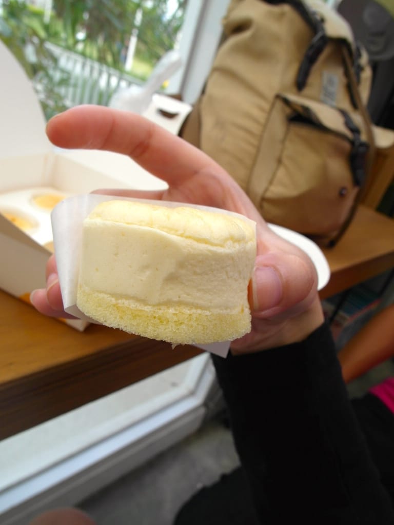 SAM_4631.JPG SAM_4631.JPG