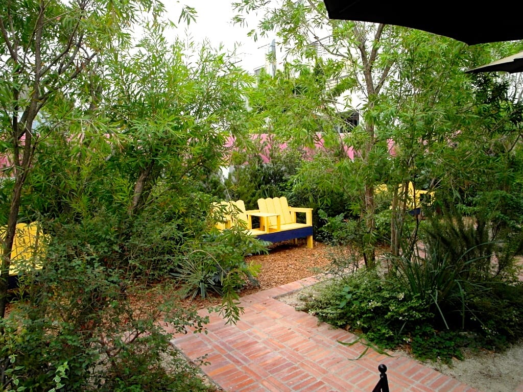 SAM_6001.JPG SAM_6001.JPG