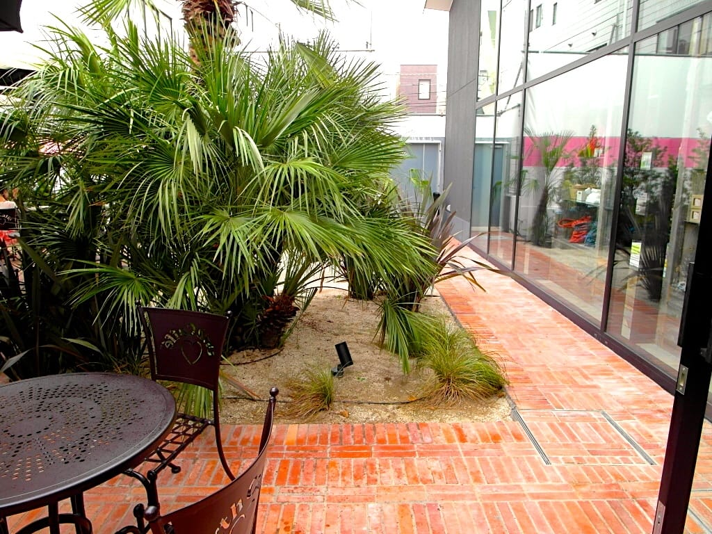 SAM_6003.JPG SAM_6003.JPG