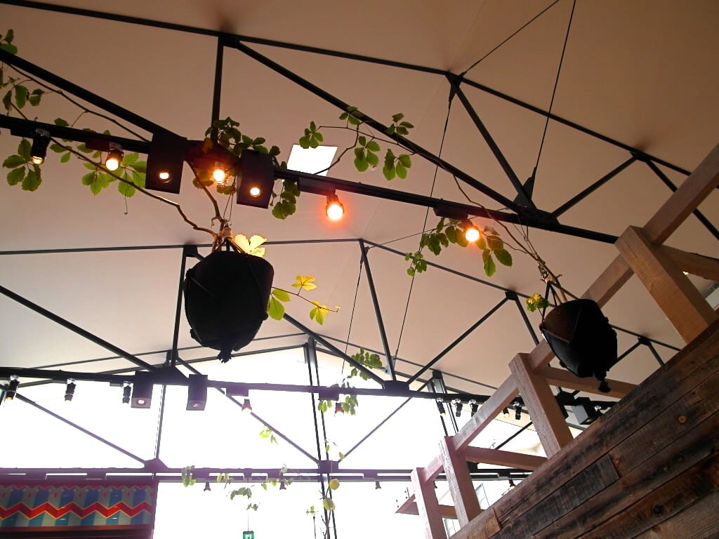 SAM_5997.JPG SAM_5997.JPG