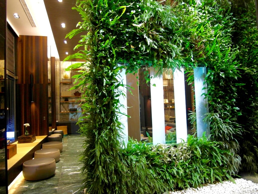 SAM_9777.jpg SAM_9777.jpg