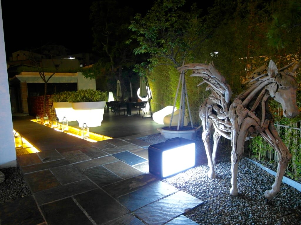 SAM_9773.jpg SAM_9773.jpg