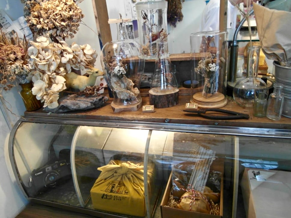 SAM_1313.jpg SAM_1313.jpg