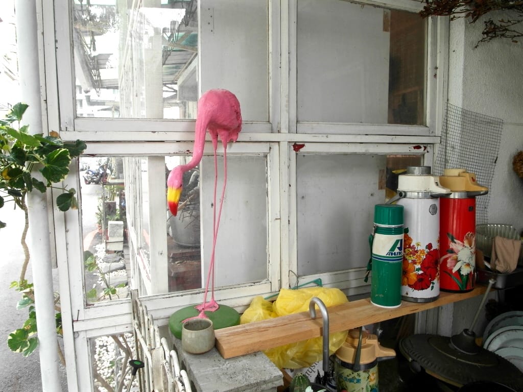 SAM_1285.jpg SAM_1285.jpg