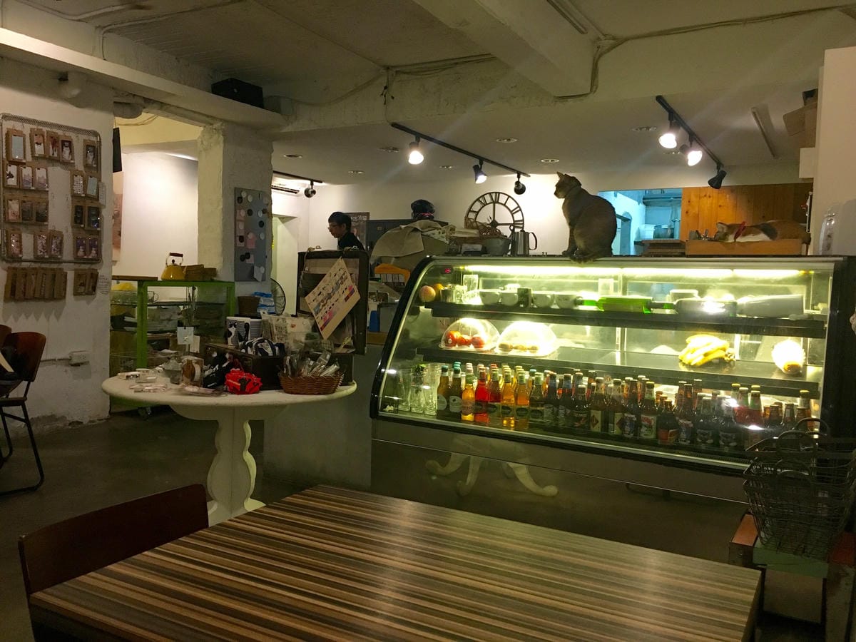 image.jpeg image.jpeg