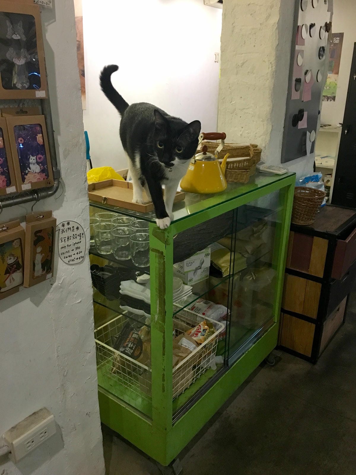 image.jpeg image.jpeg