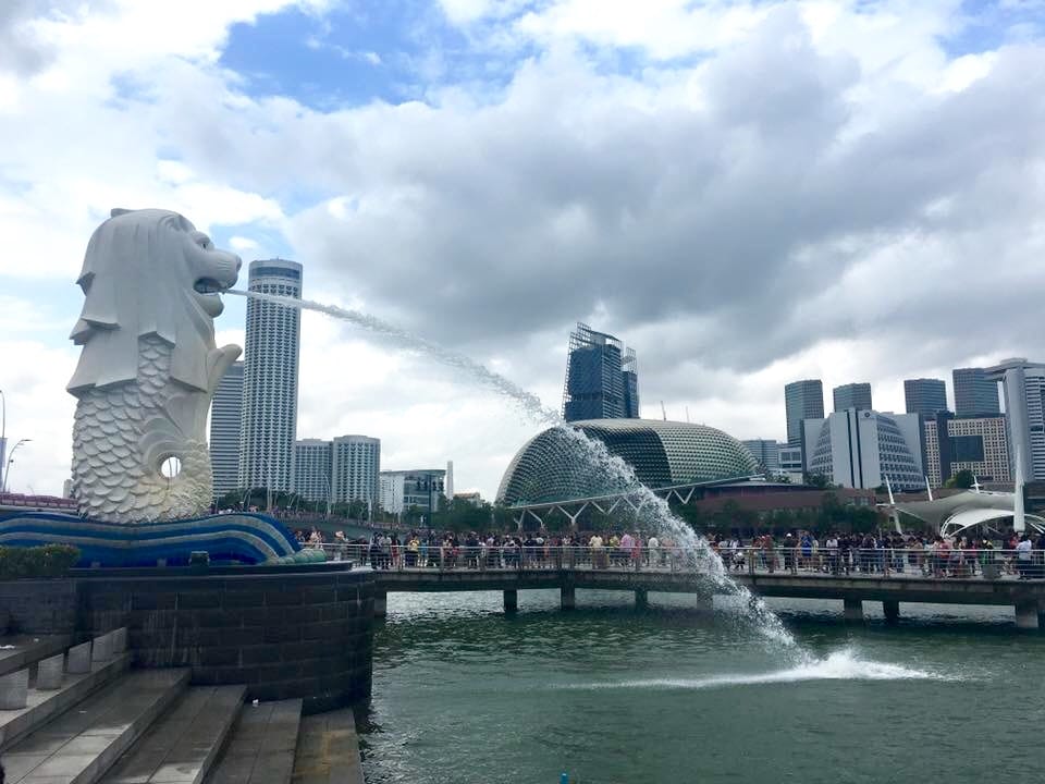 image.jpeg image.jpeg