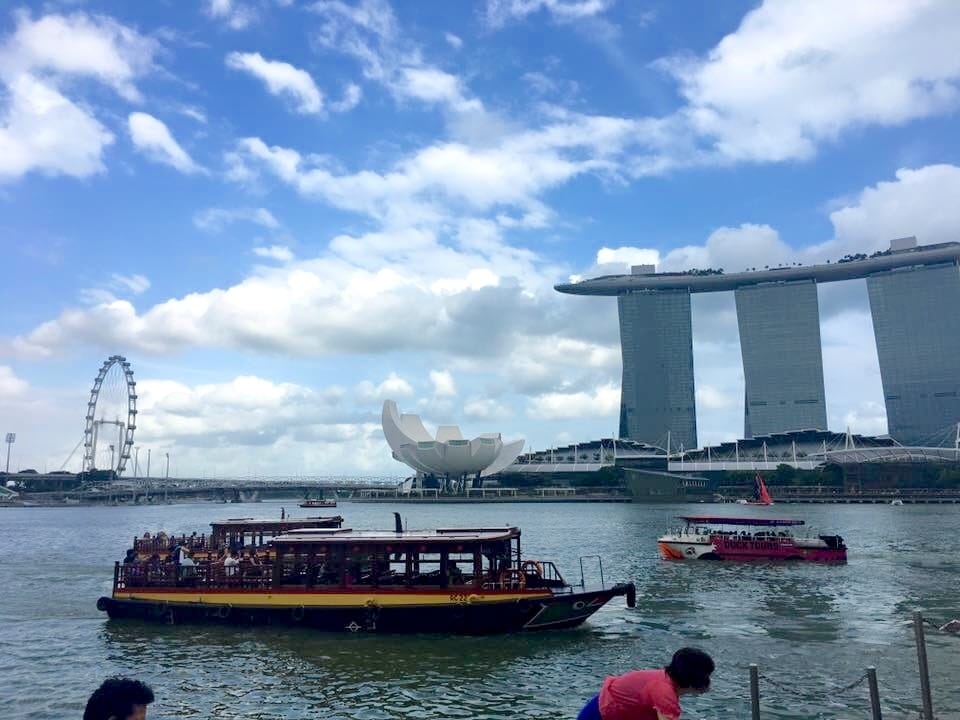 image.jpeg image.jpeg