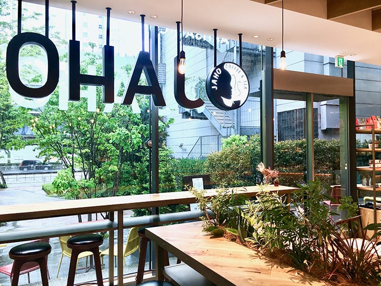 IMG_4569.jpg IMG_4569.jpg