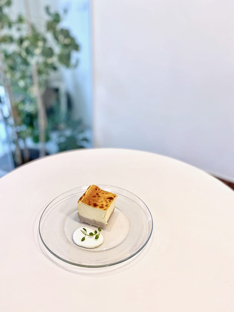 IMG_4834 2.jpg IMG_4834 2.jpg