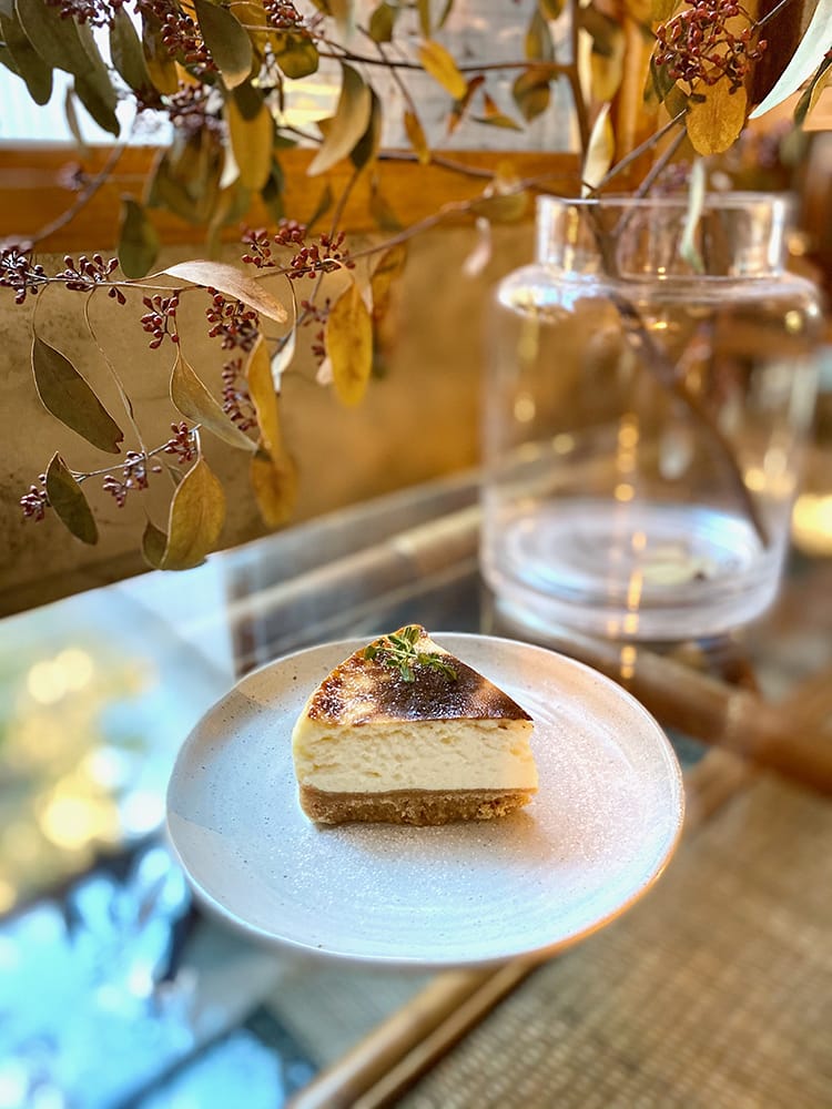 IMG_5219.jpg IMG_5219.jpg