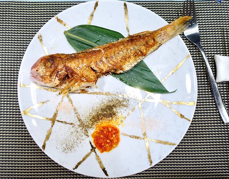 DSC05642.jpg DSC05642.jpg