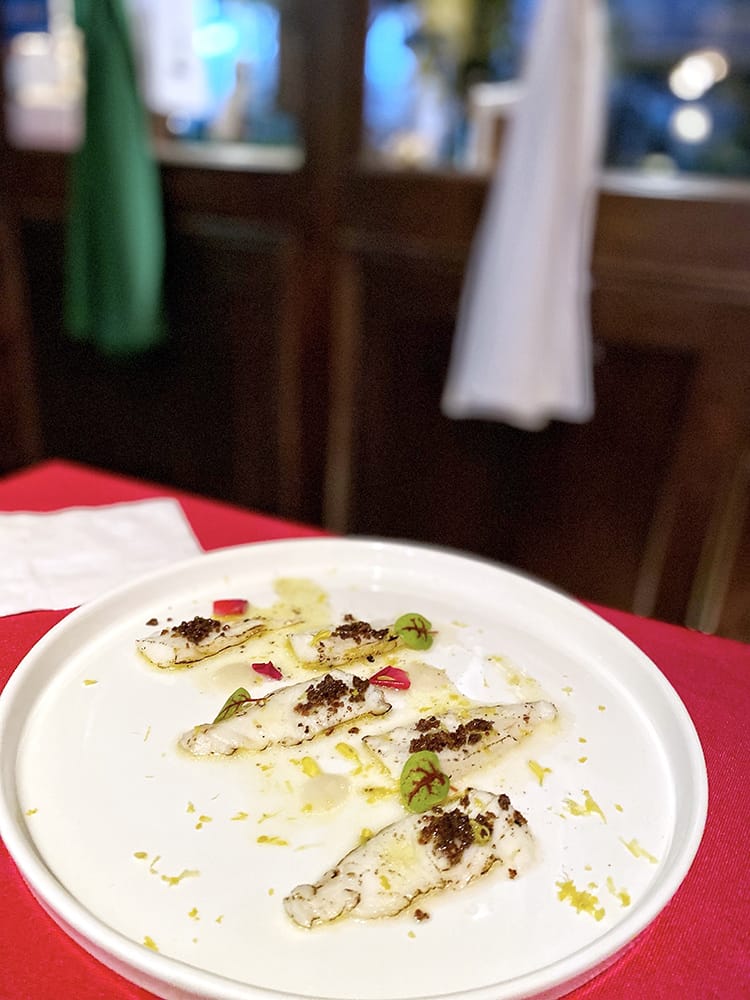 IMG_6116.jpg IMG_6116.jpg