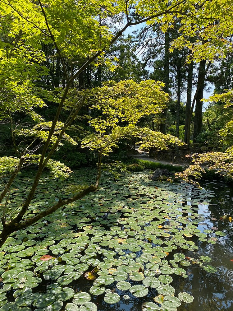 [京都] 南禪寺周邊散策-南禪寺、天授庵、藍瓶、京瓷美術館，