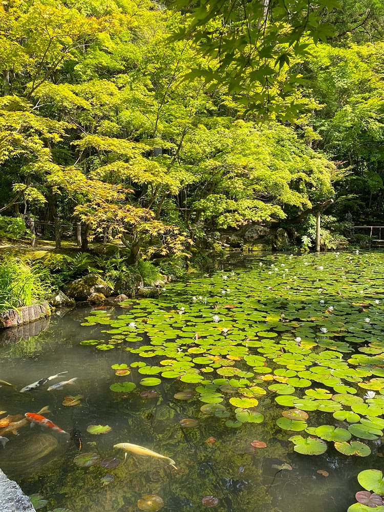 [京都] 南禪寺周邊散策-南禪寺、天授庵、藍瓶、京瓷美術館，