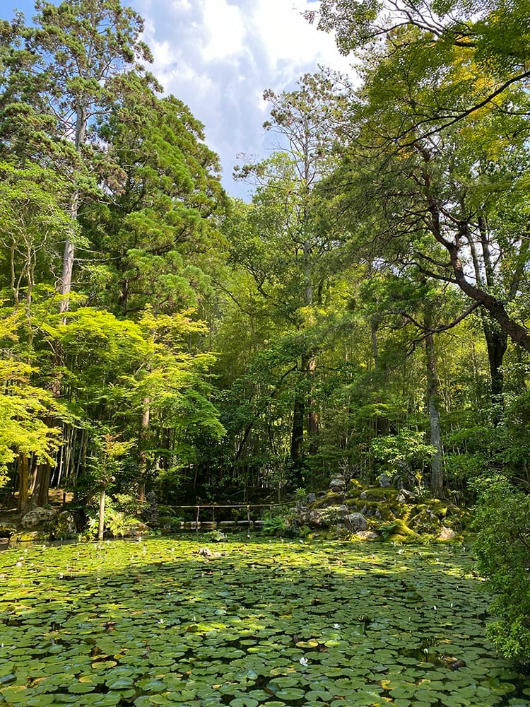 [京都] 南禪寺周邊散策-南禪寺、天授庵、藍瓶、京瓷美術館，