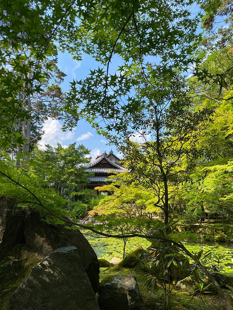 [京都] 南禪寺周邊散策-南禪寺、天授庵、藍瓶、京瓷美術館，