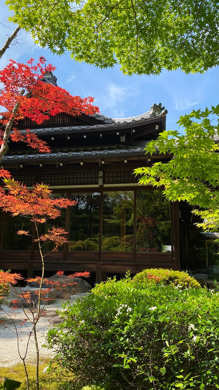 [京都] 南禪寺周邊散策-南禪寺、天授庵、藍瓶、京瓷美術館，