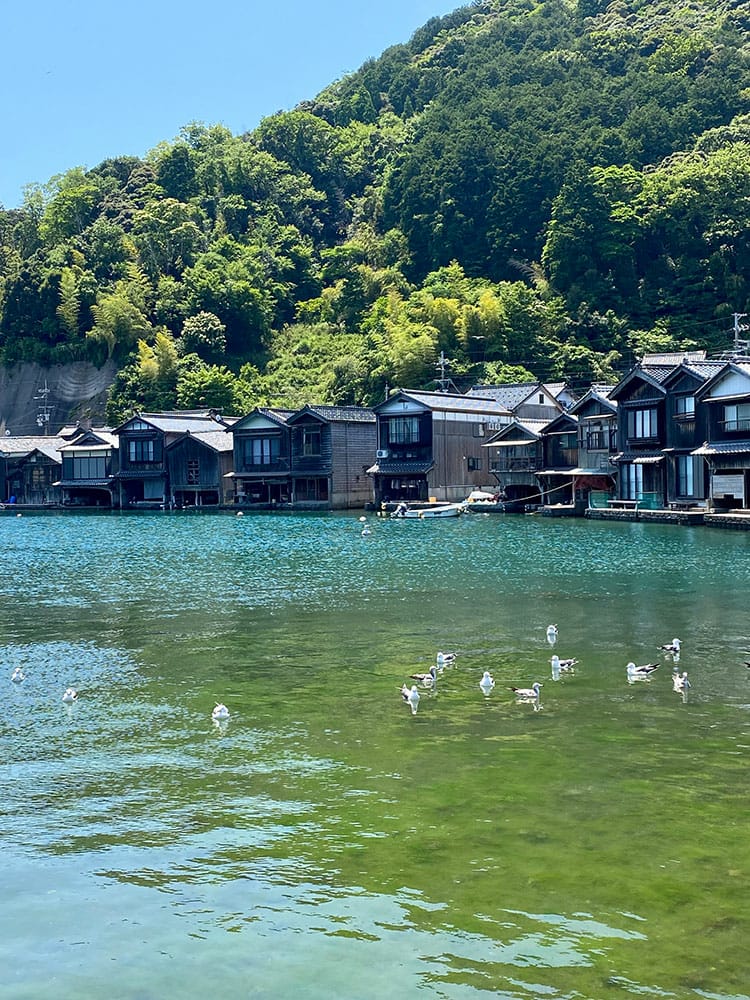 (未設定標題) (未設定標題)