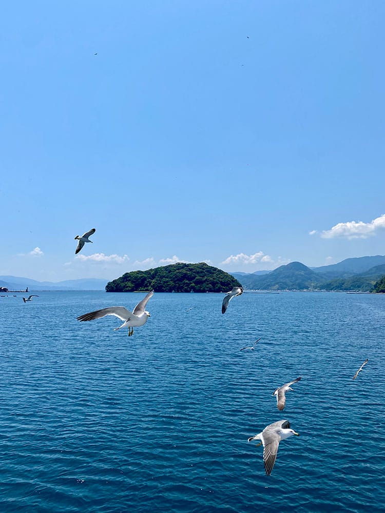 (未設定標題) (未設定標題)