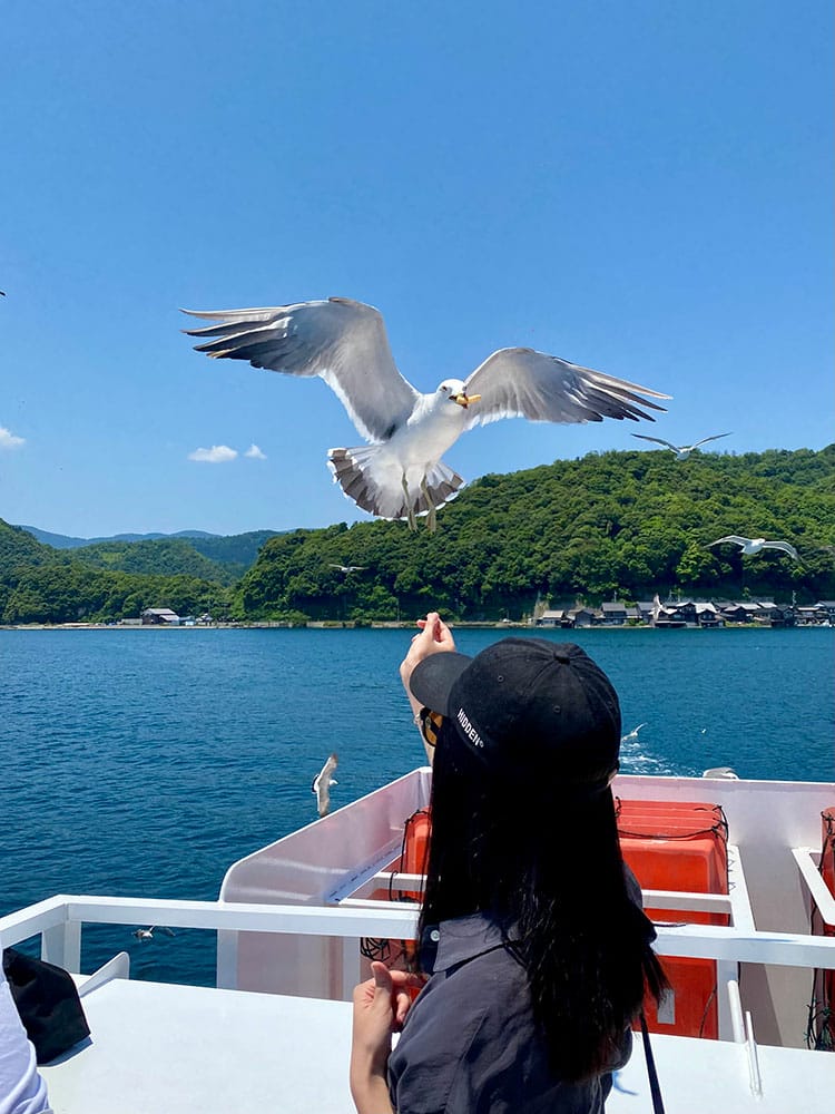 (未設定標題) (未設定標題)