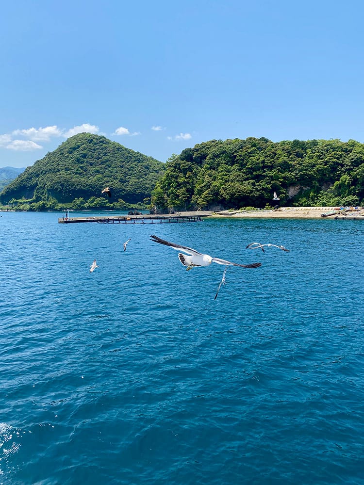 (未設定標題) (未設定標題)