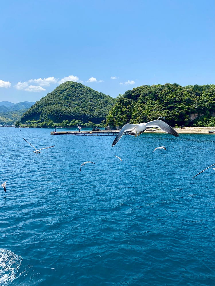 (未設定標題) (未設定標題)