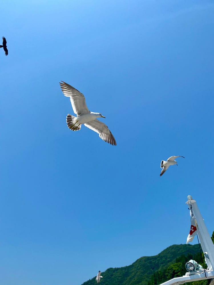 (未設定標題) (未設定標題)