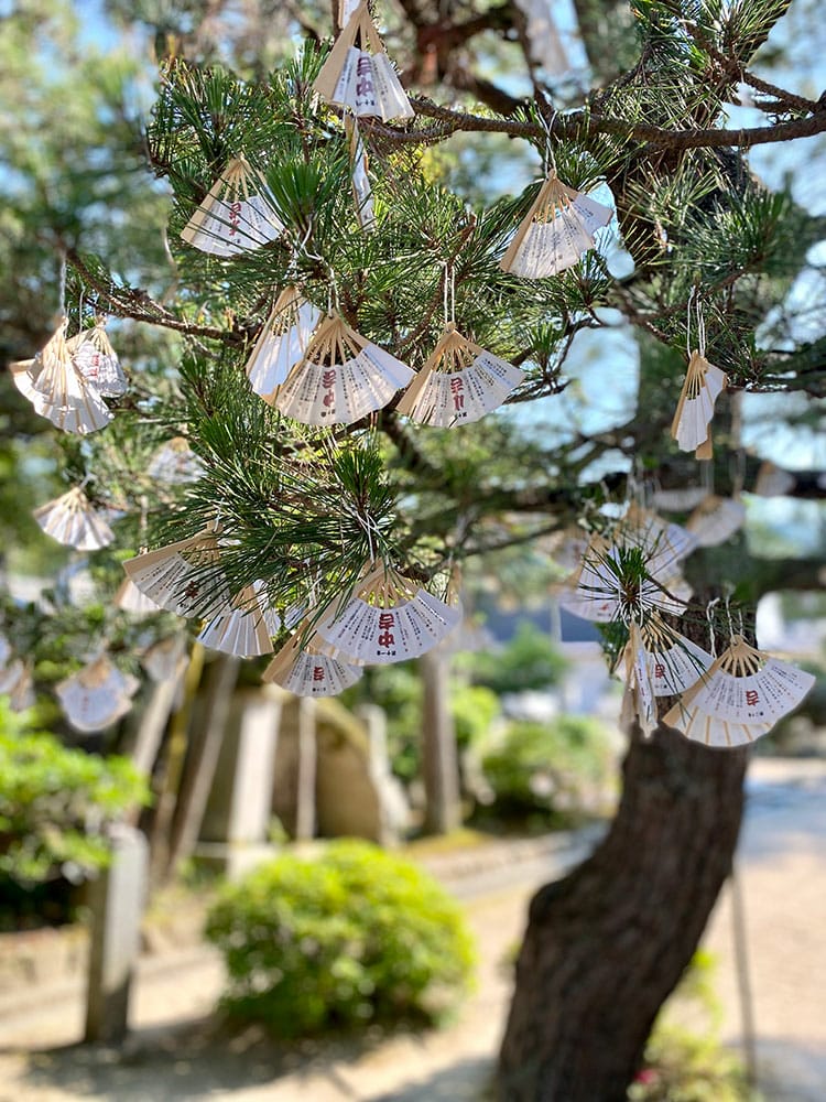 [京都] 海之京都－伊根舟屋、天橋立觀景台一日遊，日本三景之