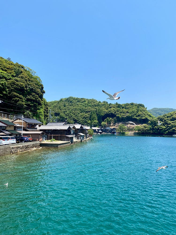 (未設定標題) (未設定標題)