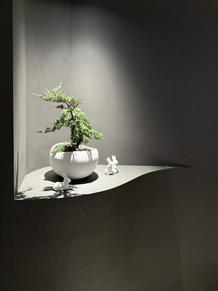 [新竹竹北] HOYA 燒肉，精緻無菜單割烹料理，一起來大肆